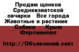 Продам щенков Среднеазиатской овчарки - Все города Животные и растения » Собаки   . Крым,Ферсманово